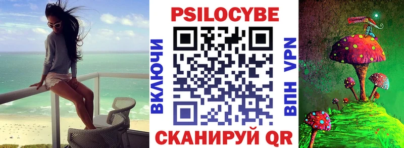 blacksprut ссылка  Рязань  Галлюциногенные грибы Psilocybine cubensis 