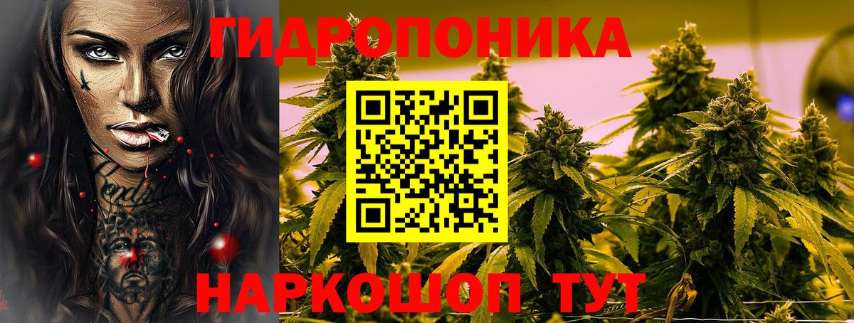 Шишки марихуана OG Kush Рязань